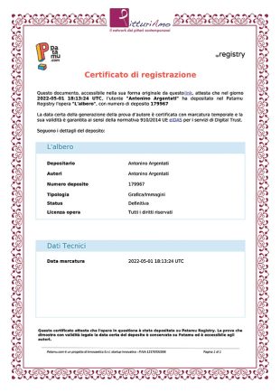 Certificato di registrazione