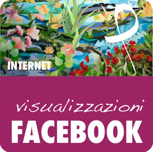 Campagna Facebook Visualizzazioni al tuo post o alla tua pagina